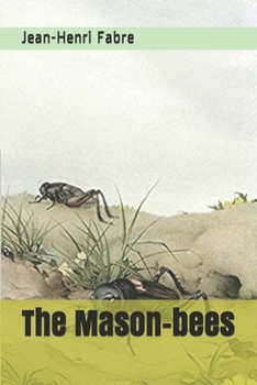 The Mason-bees