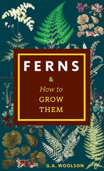 Paperback Ferns & How to Grow Them Book