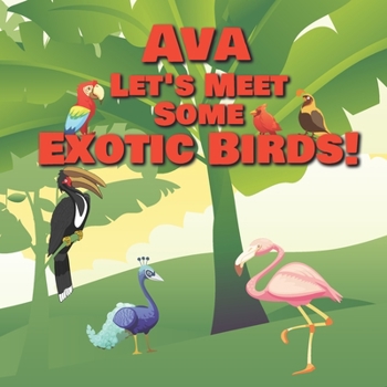 Paperback Ava Let's Meet Some Exotic Birds!: Personalized Kids Books with Name - Tropical & Rainforest Birds for Children Ages 1-3 Book