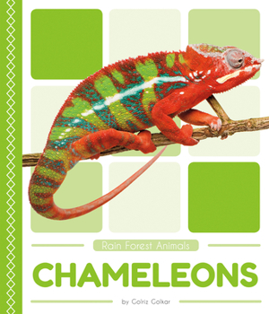 Chameleons - Book  of the Rain Forest Animals