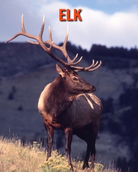 Paperback Elk: Amazing Facts & Pictures Book