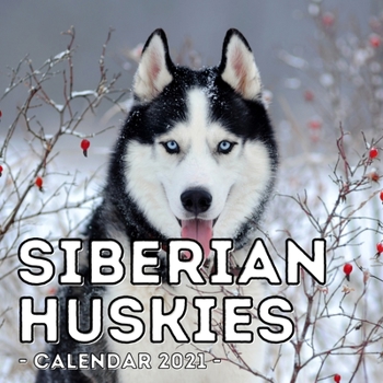Paperback Siberian Huskies Calendar 2021: 16-Month Calendar, Cute Gift Idea For Siberian Husky Lovers, Women & Men Book