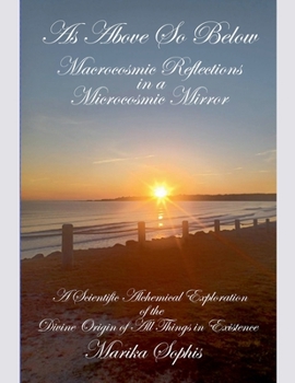 Paperback Macrocosmic Reflections in a Microcosmic Mirror Book
