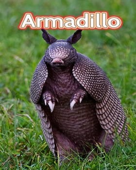 Paperback Armadillo: Facts Book (Fun Facts Book For Kids) Book