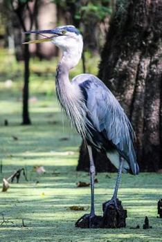 Great Blue Heron Journal: 150 Page Lined Notebook/Diary