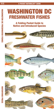 Paperback Washington DC Freshwater Fishes Book