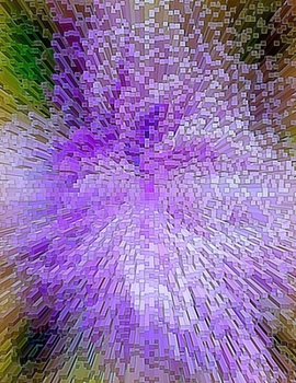 Paperback Graph Paper Composition Notebook: Graph Paper Composition Notebook 8.5 x 11 1 cm squares For Math, Kindergarten, Design, Business Graph, Engineering, Book