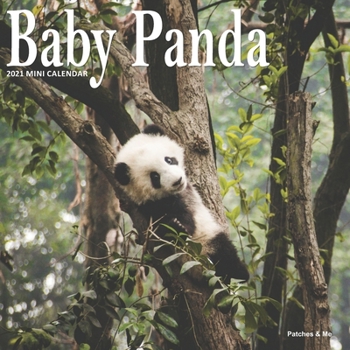 Baby Panda: 2021 Mini Wall Calendar