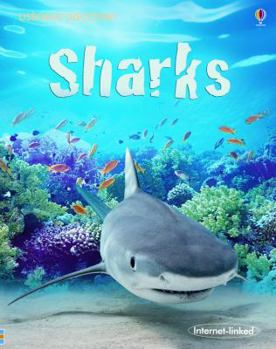 Sharks (Usborne Discovery Books) - Book  of the Usborne Discovery