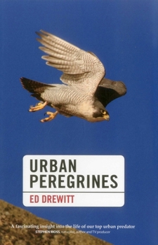 Hardcover Urban Peregrines Book