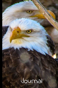 Journal: Cool American Bald Eagle Writing Journal Daily Diary Notebook Gift For Men Or Women