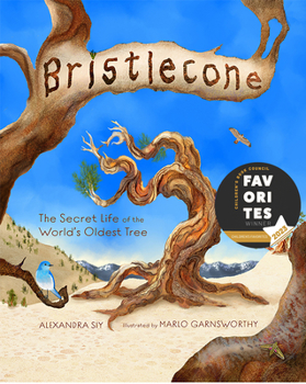 Hardcover Bristlecone: The Secret Life of the World's Oldest Tree Book