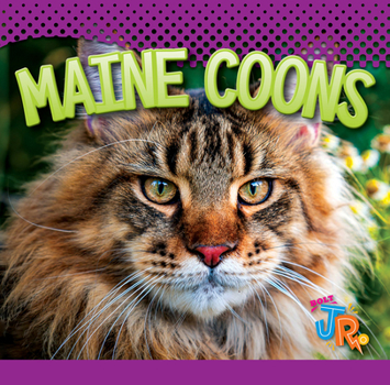 Library Binding Maine Coons Book