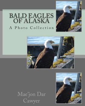 Paperback Bald Eagles of Alaska Book