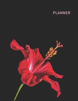 Planner: HibiscusAnime & Chill 2 Year Monthly Planner with Note Pages (24 Months) | Jan 2020 - Dec 2021 | Month Planning | Appointment Calendar Schedule | Plan Each Day, Set Goals & Get Stuff Done