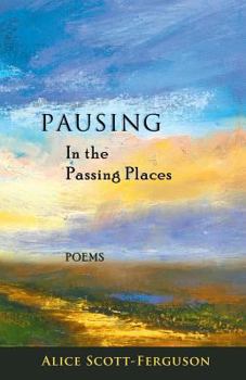 Pausing in the Passing Places : Poems