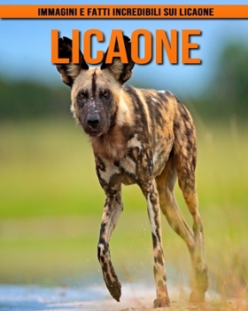 Paperback Licaone: Immagini e fatti incredibili sui Licaone [Italian] [Large Print] Book