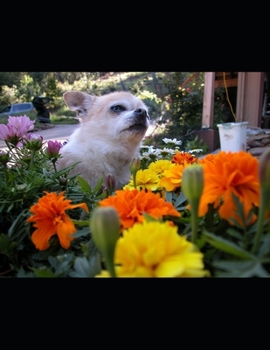 Paperback Unconditional Love (Puppies series book 1) Book