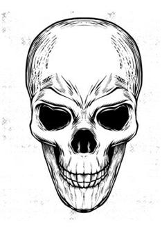 Skull Journal: CUTE GIFT FOR WOMEN, GIRLS, BOYS, MEN RULED PAGES NOTEBOOK TO WRITE AND DRAW IN