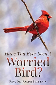 Paperback Have You Ever Seen A Worried Bird? Book