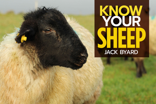 Paperback Know Your Sheep Book