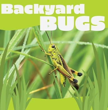 Board book Backyard Bugs Book