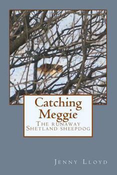 Paperback Catching Meggie the Runaway Shetland Sheepdog Book