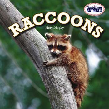 Paperback Raccoons Book