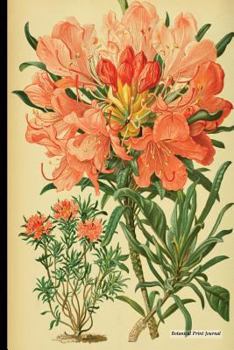 Botanical Print Journal : Rhododendron Diversifolium, 6 X 9 Vintage Botanical Flower Print Journal - [Unruled/Blank/Plain/Unlined Journal]