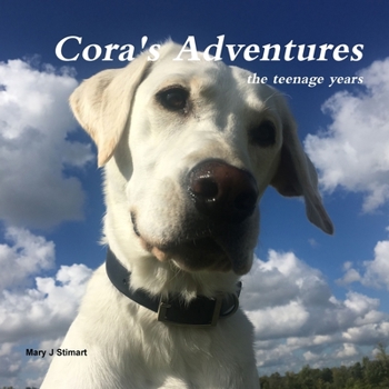 Paperback Cora's Adventures: the teenage years Book