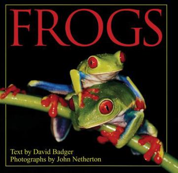 Hardcover Frogs Book