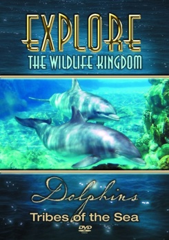 DVD Explore the Wildlife Kingdom Series: Dolphins - Tribes of Sea Book