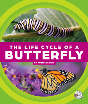 Library Binding The Life Cycle of a Butterfly Book