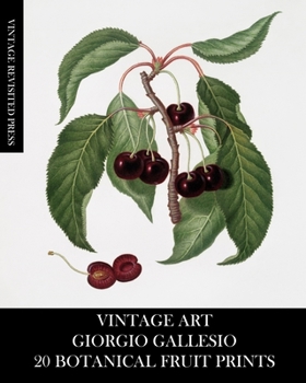 Paperback Vintage Art: Giorgio Gallesio 20 Botanical Fruit Prints Book