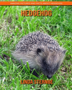 Paperback Hedgehog: Amazing Pictures and Facts About Hedgehog Book