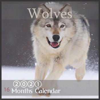 Paperback Wolves: 2021 Wall Calendar Wolf Calendar, Animal Calendars, 16 Month Book