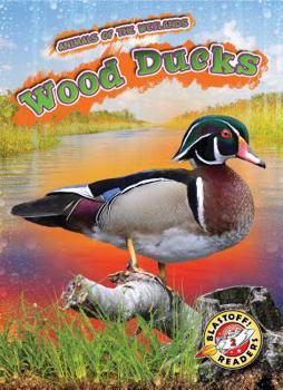 Wood Ducks - Book  of the Scholastic: Blastoff!  Animals of the Wetlands