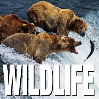Hardcover Wildlife Book