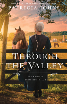 Through the Valley: Amish Christian Fiction About Tradition, Community, Family Secrets, and an Inheritance