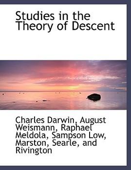 Paperback Studies in the Theory of Descent Book