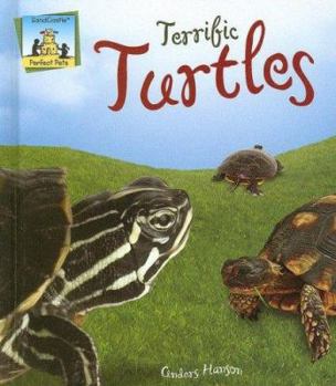 Terrific Turtles - Book  of the Perfect Pets
