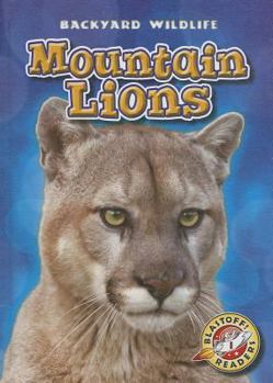 Mountain Lions - Book  of the Backyard Wildlife