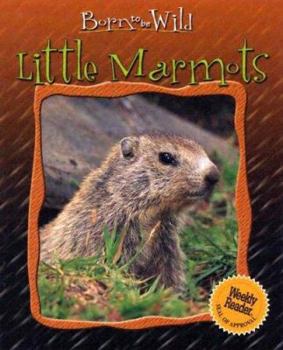 Little Marmots (Born to Be Wild) - Book  of the Born to be Wild