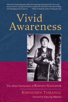 Paperback Vivid Awareness: The Mind Instructions of Khenpo Gangshar Book