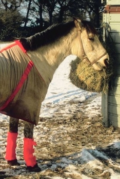 Paperback 2020 Weekly Planner Horse Photo Equine Blanketed Horse Winter 134 Pages: 2020 Planners Calendars Organizers Datebooks Appointment Books Agendas Book
