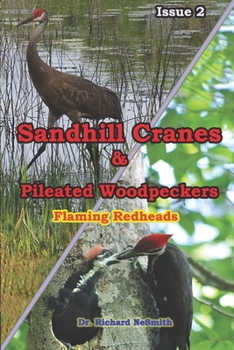 Sandhill Cranes & Pileated Woodpeckers: FLAMING REDHEADS!