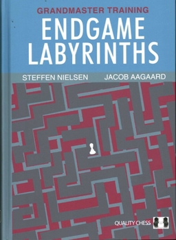 Hardcover Endgame Labyrinths Book
