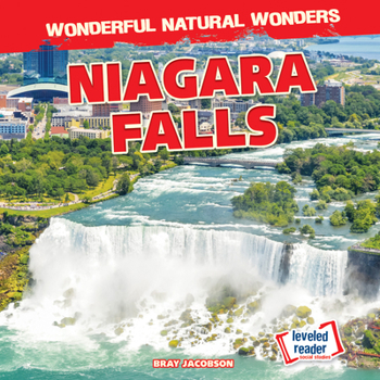 Library Binding Niagara Falls Book