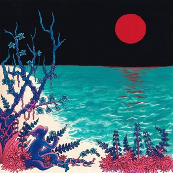 Music - CD First Glass Beach Album Book
