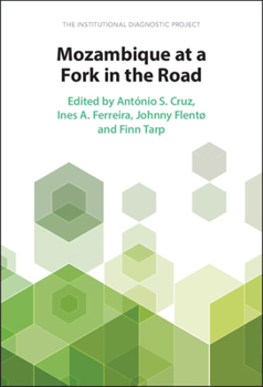 Hardcover Mozambique at a Fork in the Road: The Institutional Diagnostic Project Book